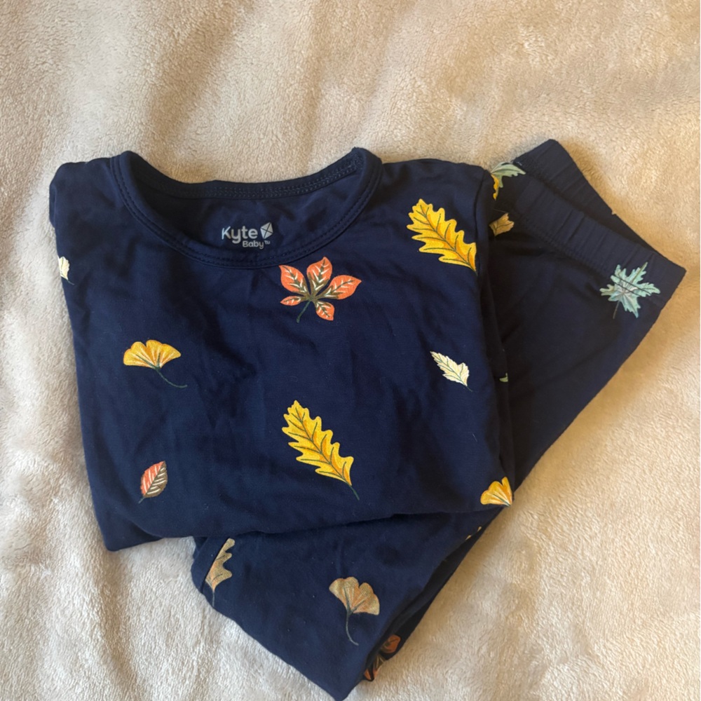 Kyte BABY Pajama Set - Navy Leaf Design - EUC 2T